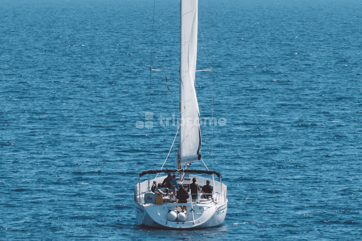 Pulsuz məsləhət alın